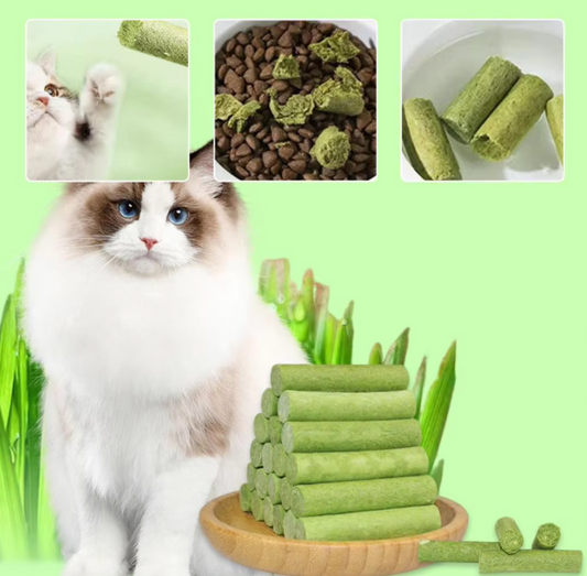 Cat Grass Stick