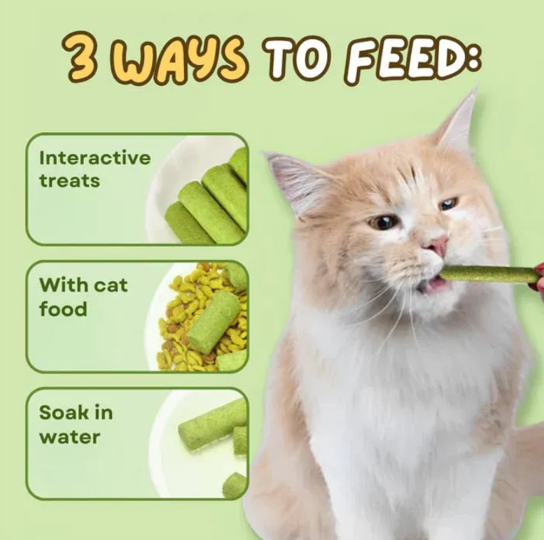 Cat Grass Stick