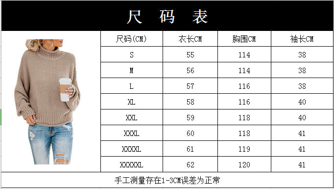 Women's Turtleneck Knit Sweater