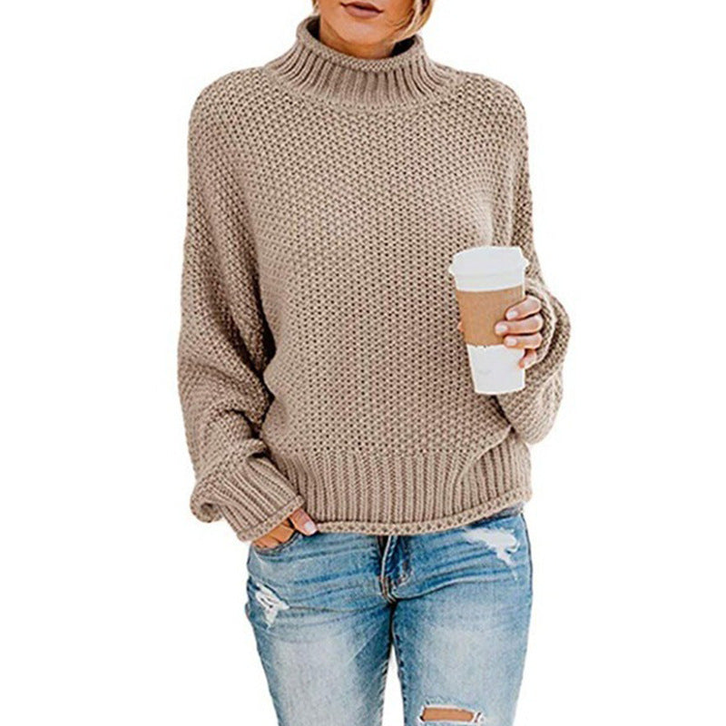 Women's Turtleneck Knit Sweater